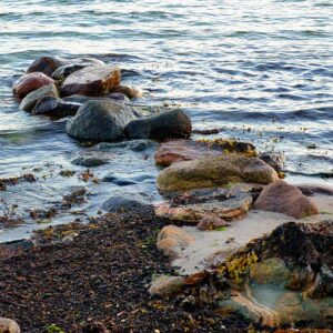 Udredning autisme psykolog