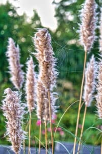 Relevans - AUDHD, autisme og ADHD