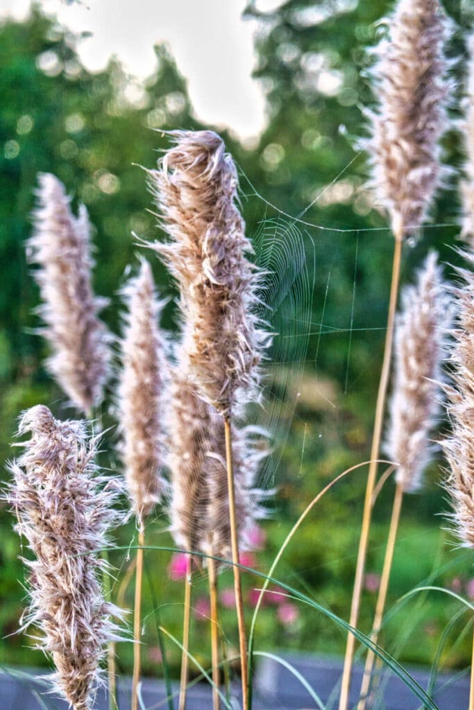 Relevans - AUDHD, autisme og ADHD