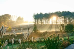 AUDHD - Autisme og ADHD