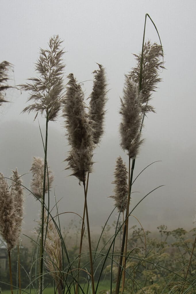 Samtaler på utydelig baggrund